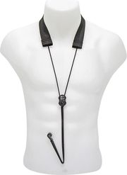 bg gcs standard zoni klasikis kitharas photo