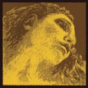 pirastro xordes biolioy evah pirazzi 415021 gold photo