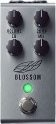 jackson audio blossom compressor petali photo