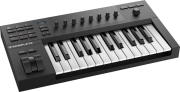 midi keyboard native instruments komplete kontrol a25 photo