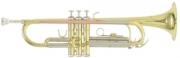 trompeta gewapure roy benson b flat tr 403 photo