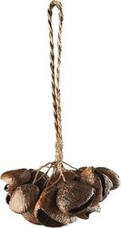 sonic energy spgrs pangi shaker small photo sonic energy spgrs pangi shaker small photo