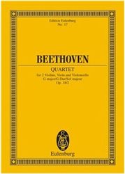 beethoven string quartet op 18 no2 photo beethoven string quartet op 18 no2 photo