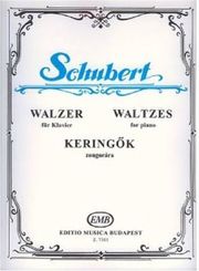 schubert walzer photo