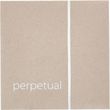 PIRASTRO PERPETUAL 31A131 ����� �  ������� 4/4