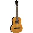 EKO GUITARS CS10 NATURAL �������� ������ 4/4 �� ����, NATURAL