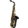 saxofono gewapure roy benson alto e flat as 202k photo