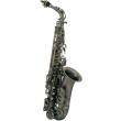  GEWAPURE ROY BENSON ALTO E-FLAT AS-202A