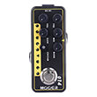 petali mooer 014 micro preamp taxidea taxus photo
