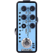 petali mooer 018 micro amp custom 100 photo
