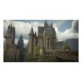 hogwarts legacy game key card extra photo 3