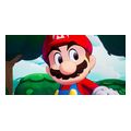 mario and luigi brothership extra photo 2