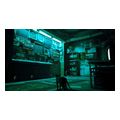stray extra photo 3