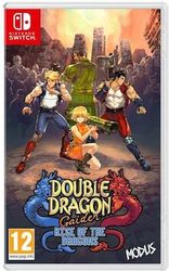 double dragon gaiden rise of the dragons