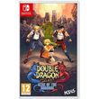 double dragon gaiden rise of the dragons photo