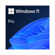 microsoft windows 11 pro 64bit english dvd photo