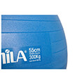 mpala gymnastikis amila gymball 55cm mple bulk extra photo 2