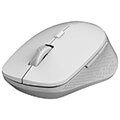 rapoo m300 silent multi mode wireless mouse light grey extra photo 1