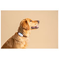 tractive gps tracker for dog 4 snow extra photo 1