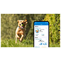 tractive gps tracker for dog 4 coffee extra photo 3