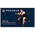 pegasus rythmizomenos pagkos mb10 pegasus l 5834 extra photo 1