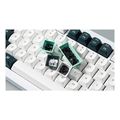 pliktrologio keychron q1 he q1h p1 qmk white wireless custom hall effect purple switch 75 us extra photo 2 pliktrologio keychron q1 he q1h p1 qmk white wireless custom hall effect purple switch 75 us extra photo 2