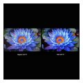 xiaomi 55 google tv s miniled 2025 uhd 144hz ela5666eu extra photo 5