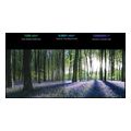 xiaomi 65 google tv s miniled 2025 uhd 144hz ela5674eu extra photo 6