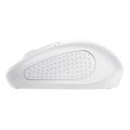 trust primo wireless mouse matt white extra photo 3