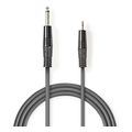 nedis coth23205gy15 stereo audio cable 635 mm male 35 mm male 15m grey extra photo 2