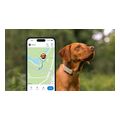 tractive gps tracker for dog 4 brown extra photo 2
