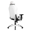 akracing premium gaming chair arctica extra photo 4