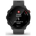 sportwatch garmin forerunner 55 grey extra photo 1