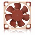 anemistiraki koytioy noctua nf a4x10 24v pwm 40mm extra photo 1