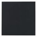 thermal grizzly 100 thermal pad minus pad advance 10 mm 2 pcs extra photo 2 thermal grizzly 100 thermal pad minus pad advance 10 mm 2 pcs extra photo 2