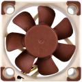 noctua nf a4x10 flx fan 40mm extra photo 1