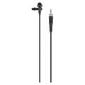 sennheiser xsw d lavalier set set petoy extra photo 5