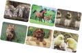 hama 54790 animals mouse pad extra photo 1