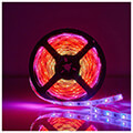 nedis wifils51crgb smartlife full colour led strip 5000mm ip65 700lm extra photo 2