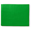 nedis bdrp33gn photo studio backdrop 295x295m green extra photo 1