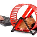 usb hamster wheel extra photo 3