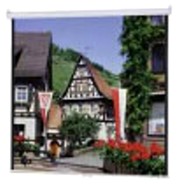 medium roll screen 200 x 200 black back matt white cloth photo