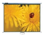 maxball richvision projection wall screen 2m photo