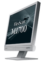 eizo m1700 zero pixel eggyisi photo