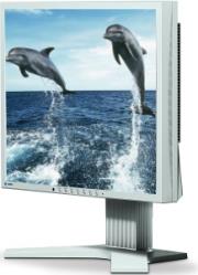 eizo 19 s1932sh grey photo