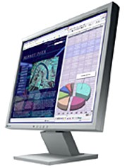 eizo 17 l551 me zero pixel eggyisi photo