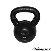 kettlebell binylioy pegasus 28 kg photo