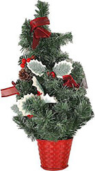 dentro xylina stolidia set12tem 22x18cm photo dentro xylina stolidia set12tem 22x18cm photo