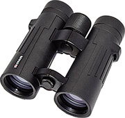 braun compagno 10x42 wp photo