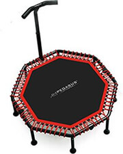 pegasus oktagono trampolino me labi 48 122cm pegasus b 4503a photo
